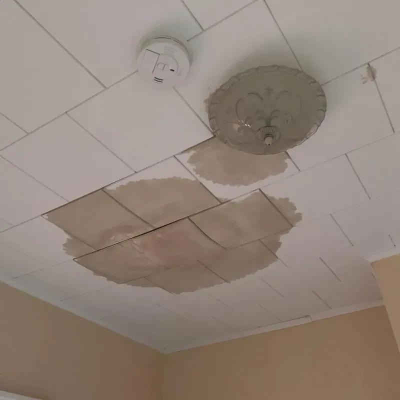 Ceiling Water Damage Repair in Norwich, CT