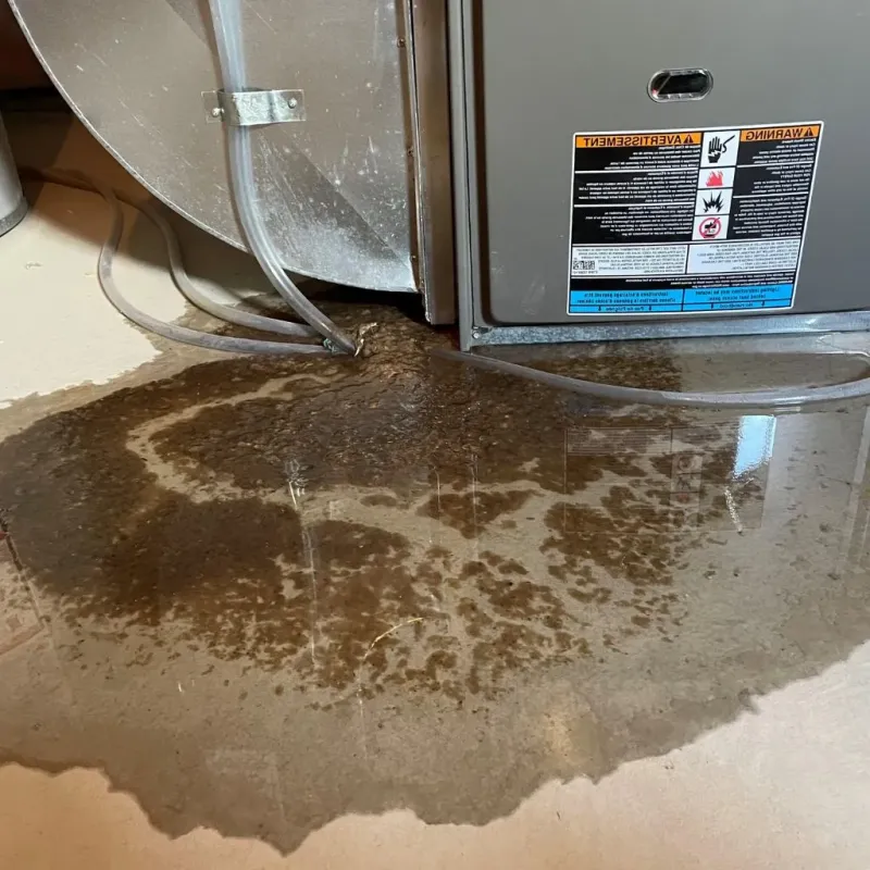 Pipe Burst and Leak Restoration in Norwich, CT